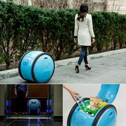 نوآوری در محصول:. تصویری از روبات باربر که در آینده نزدیک خیابان‌ها راتسخیر خواهد کرد
